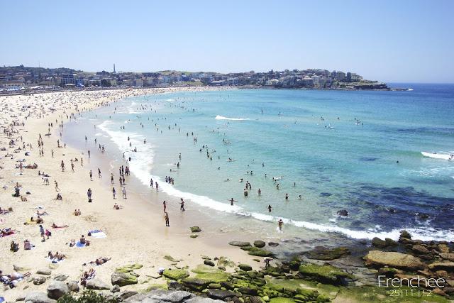 FROM BONDI TO COOGEE BEACH 25.11.12