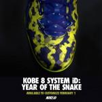 Nike Kobe 8 iD Year of the Snake Teaser