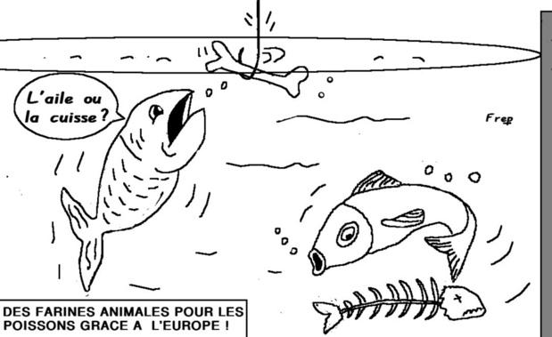 L'aile ou la cuisse ?