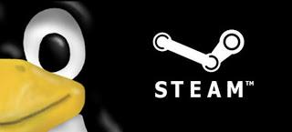 Steam est enfin disponible pour Linux