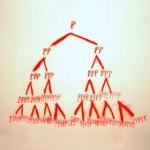 Blue Monday – Buke & Gase