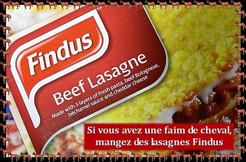 findus-faim-de-cheval-mangez-lasagnes