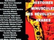 Histoires minuscules révolutions arabes