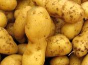 chaines vendredi, c'est sympa...