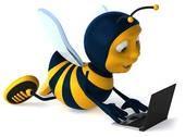 Développer son réseau : la ruche s'active...