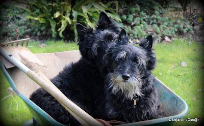 Voilà qui est fait...