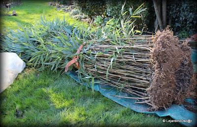 Voilà qui est fait...