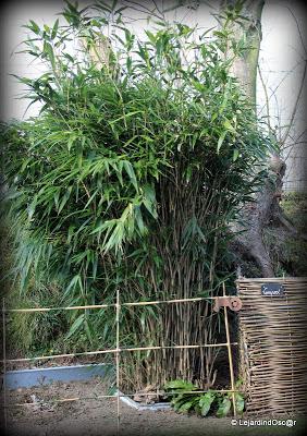 Voilà qui est fait...