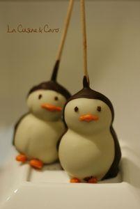 cake_pop_pingouin_plan