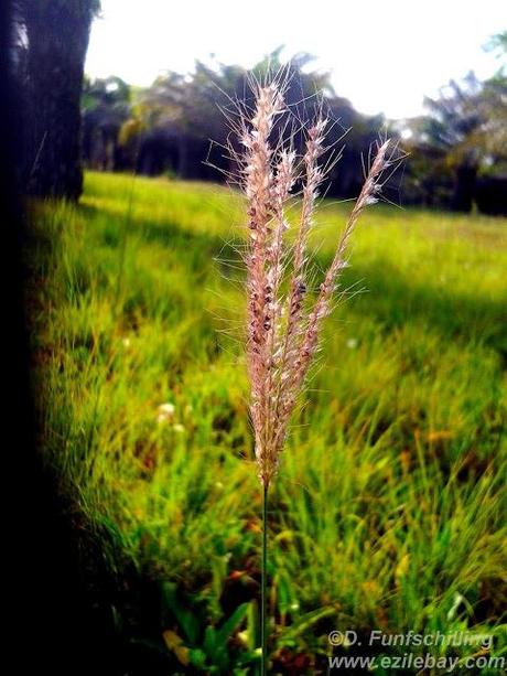 Ezile bay Ghana, les photos de la semaine, pics of the week