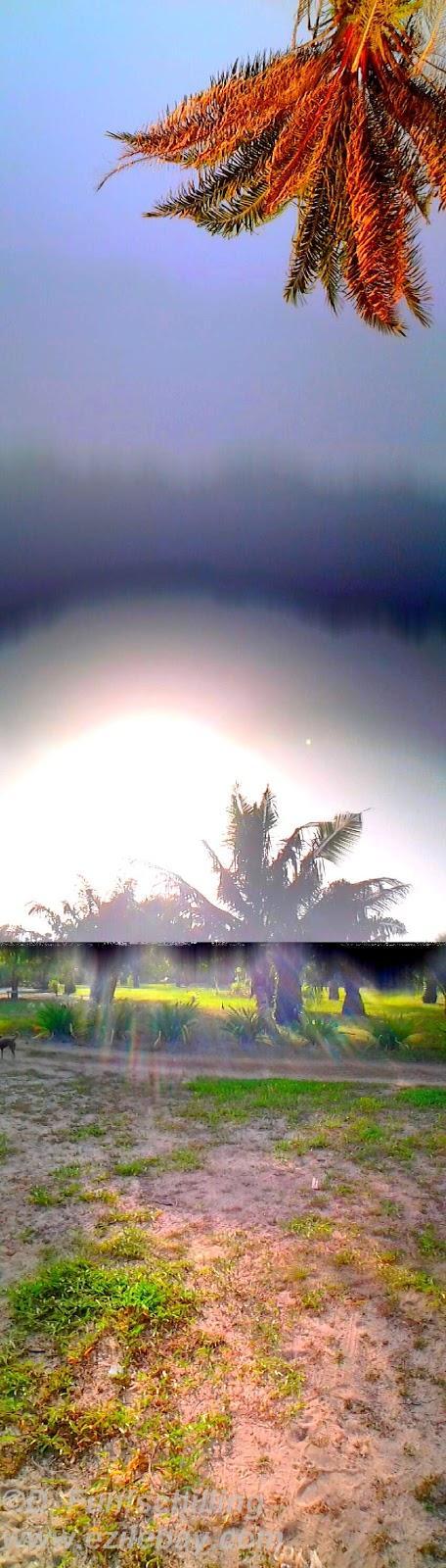 Ezile bay Ghana, les photos de la semaine, pics of the week