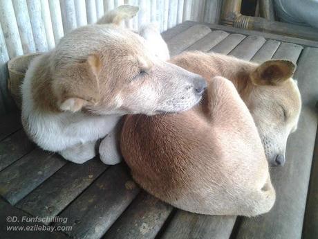 Ezile bay Ghana, les photos de la semaine, pics of the week