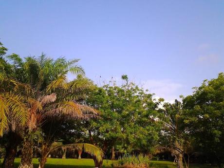 Ezile bay Ghana, les photos de la semaine, pics of the week