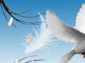 Suis-je gardien frère