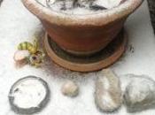 Question dialectique