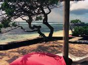 retour... après virée sous tropiques