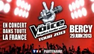 The Voice tour 2013