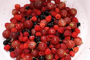 fruits rouges