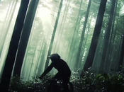 Freeride Forest Aaron Larocque