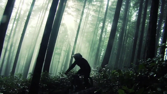 Amazing freeride forest by Aaron LaRocque
