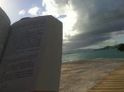 Bises ensoleillées tous!