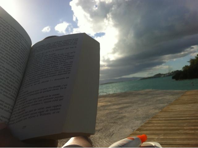 Bises ensoleillées à tous!