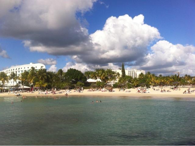 Bises ensoleillées à tous!