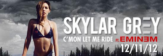 Skylar Grey présente son étrange pochette d'album