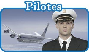 pilotes Remise en forme des menus