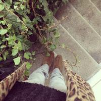 Les Photos du Dimanche #62