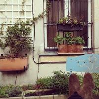 Les Photos du Dimanche #62