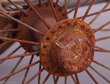 Projet Photo 52 - semaine 8 : Orange