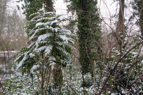 2 charity veneux 24 fév 2013 004.jpg