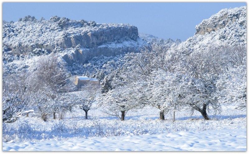 Ampus sous la neige