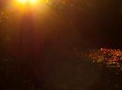 recueillir Christiane Rancé