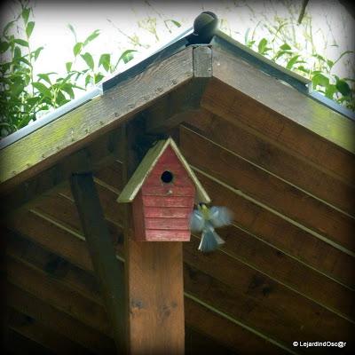 Rétro jardin 4/4...