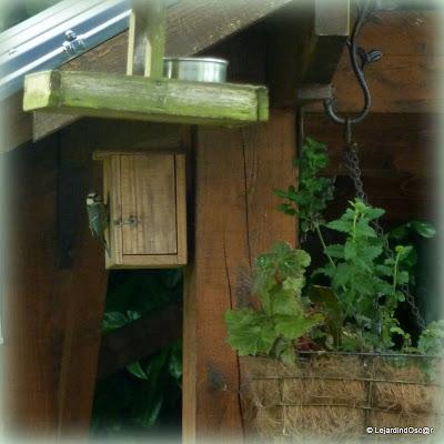 Rétro jardin 4/4...