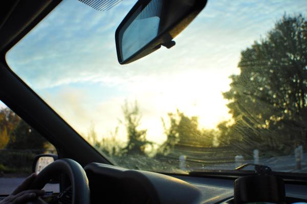 Monkey Eyes (134) Lever du Jour Derrière un Pare-Brise