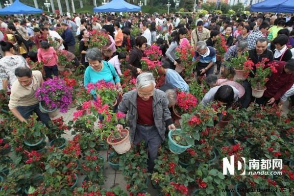 Les fleurs emportées par les chinois