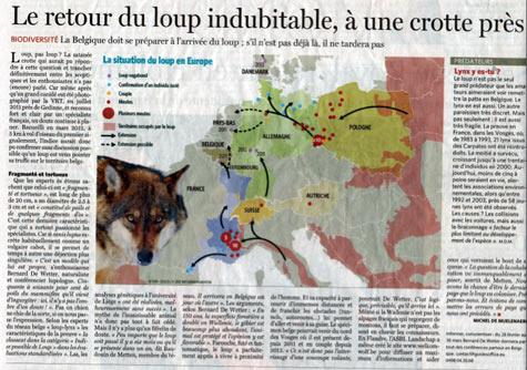 Le retour du loup, indubitable, à une crotte près