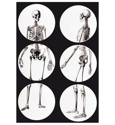 set-de-6-assiettes-squelettes