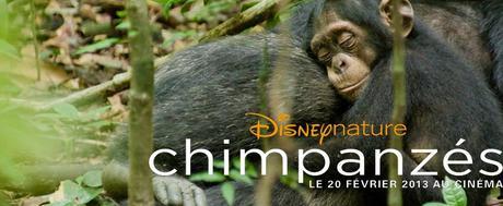 Critique du Spécialiste : Chimpanzés vu par un primatologue