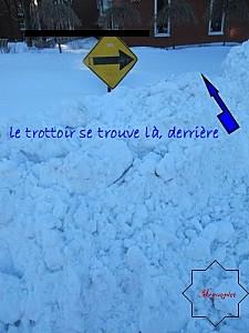 la-neige-du-27.12.2012 0065 1