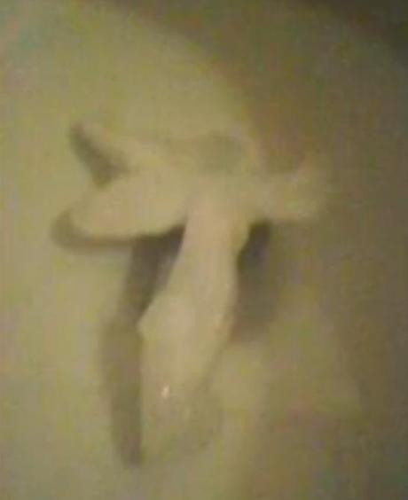 TOUS LES ENDROITS BIZARRES OU LES GENS ONT PRETENDU VOIR LE CHRIST TOUS LES ENDROITS BIZARRES OU LES GENS ONT PRETENDU VOIR LE CHRIST