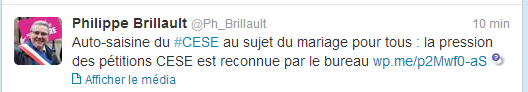 Le CESE juge irrecevable la pétition anti mariage gay et s'autosaisit quand même