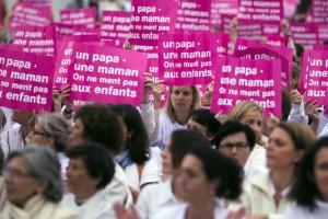 Le CESE juge irrecevable la pétition anti mariage gay et s'autosaisit quand même