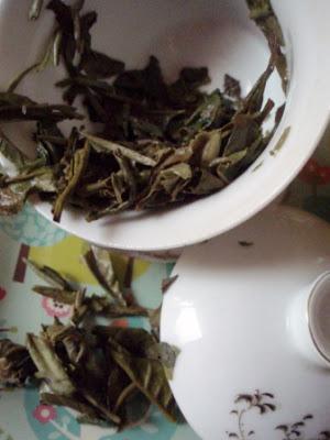 Pai Mu Tan du lâcher prise