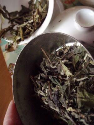 Pai Mu Tan du lâcher prise