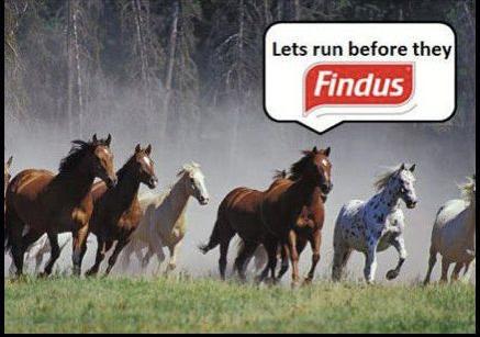Let's run before they Findus