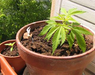 Se recueillir par Christiane Rancé (3)